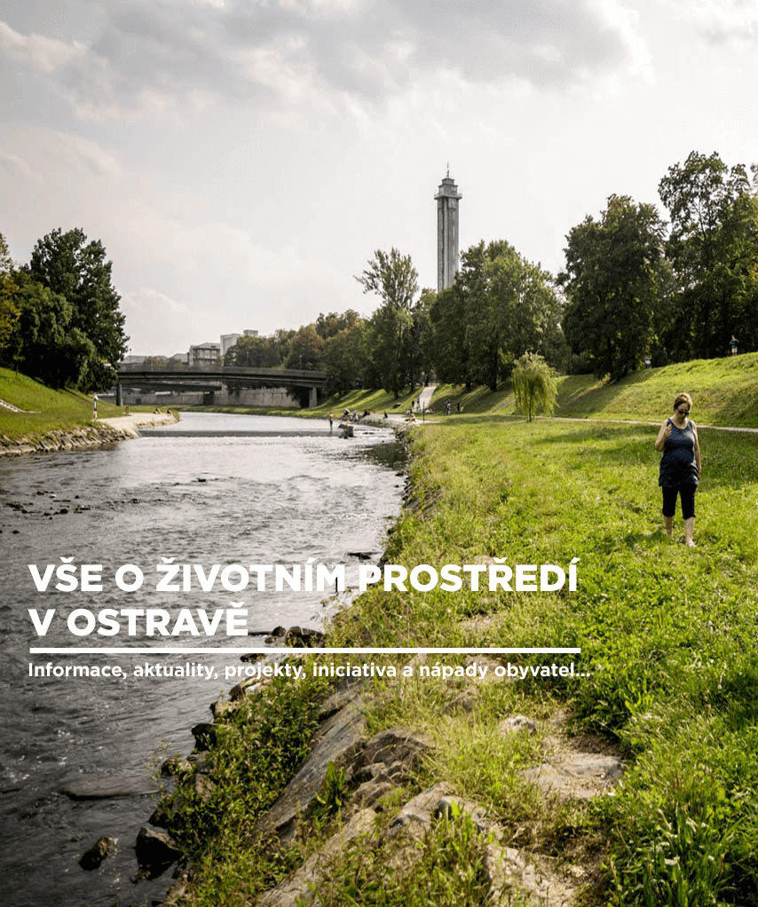 trvalka-prostredi-LG-photo